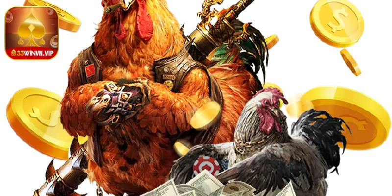 Cách đá gà trên mạng cho người mới