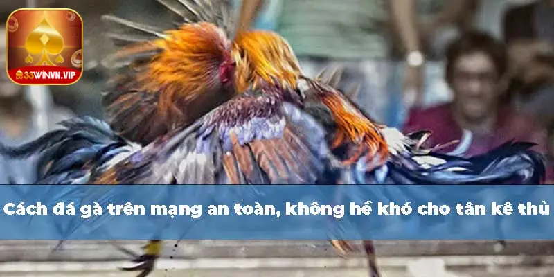 cách đá gà trên mạng