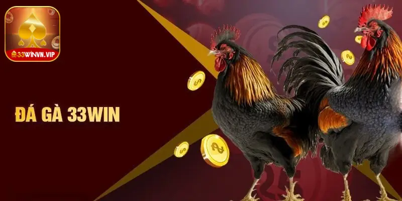 Đá gà 33Win uy tín, tỷ lệ cược cao