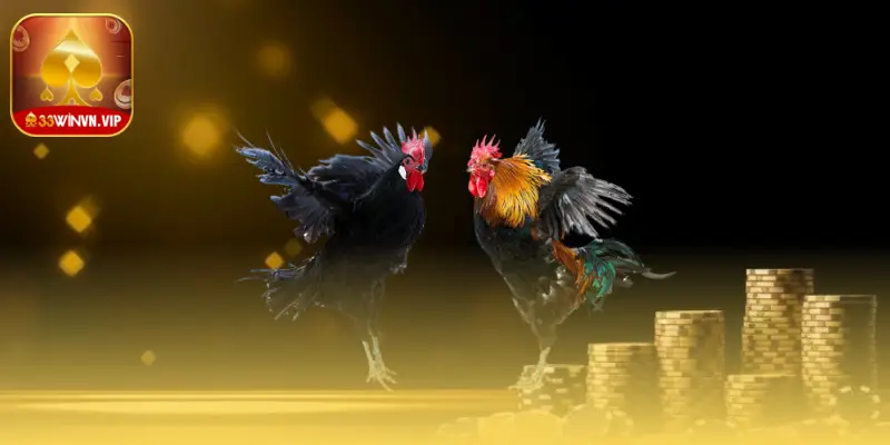 Khám phá sân chơi Đá gà của 33Win