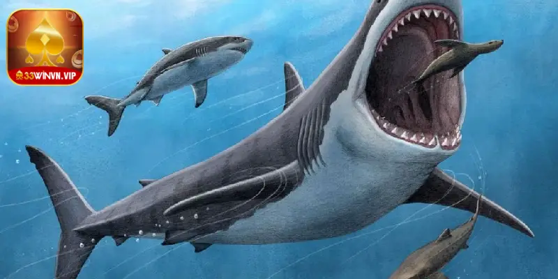 Trong mơ nhìn thấy bị cá tấn công đánh con số 73