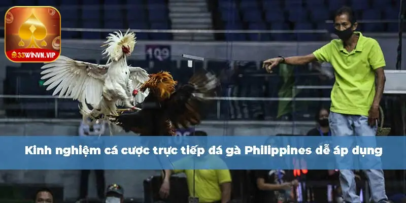 trực tiếp đá gà Philippines